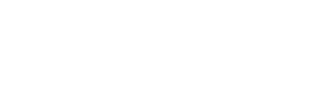 logo-thinkwize